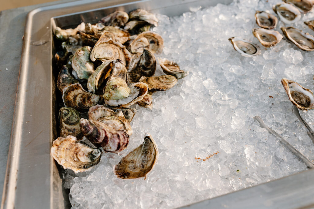 raw oyster bar wedding reception on Socialite Events Orlando